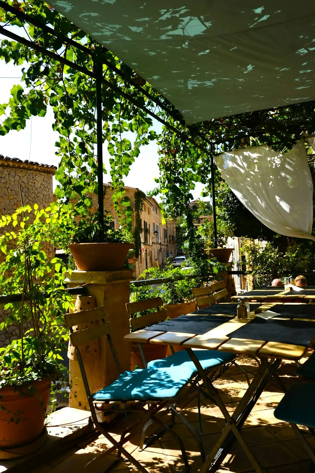 Une terrasse sous une pergola de vigne, tables au soleil